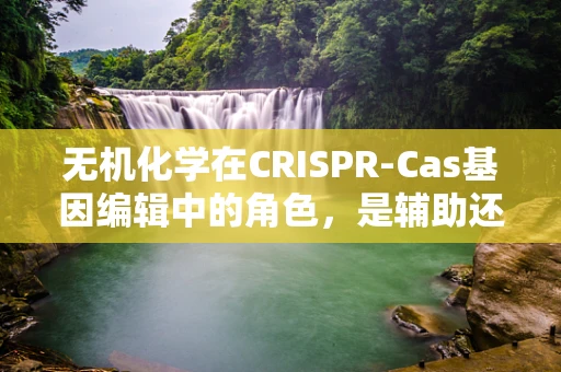 无机化学在CRISPR-Cas基因编辑中的角色，是辅助还是主导？