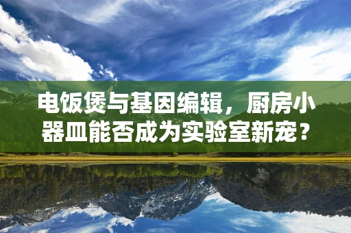 电饭煲与基因编辑，厨房小器皿能否成为实验室新宠？