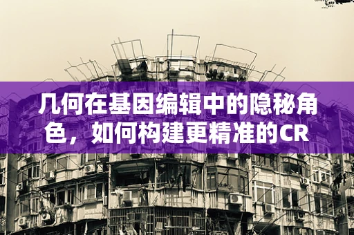 几何在基因编辑中的隐秘角色，如何构建更精准的CRISPR复合物？