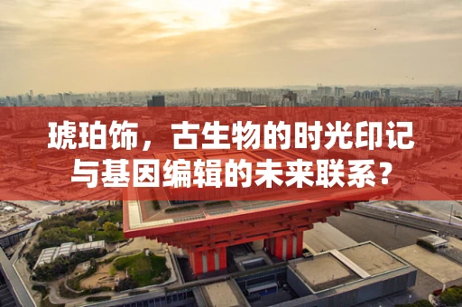 琥珀饰，古生物的时光印记与基因编辑的未来联系？