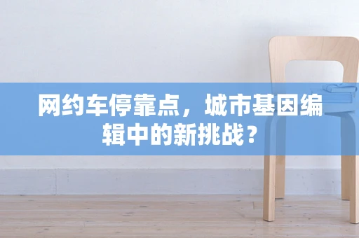 网约车停靠点，城市基因编辑中的新挑战？