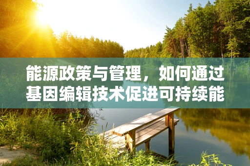 能源政策与管理，如何通过基因编辑技术促进可持续能源发展？