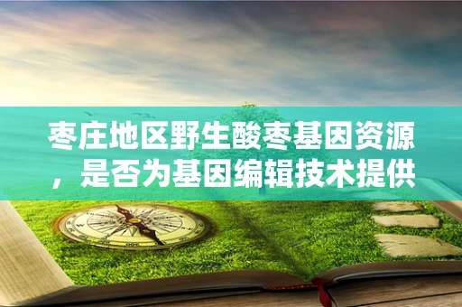 枣庄地区野生酸枣基因资源，是否为基因编辑技术提供独特‘试验田’？