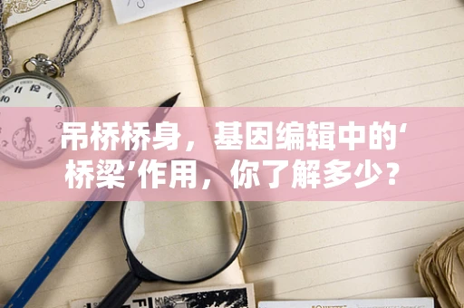 吊桥桥身，基因编辑中的‘桥梁’作用，你了解多少？