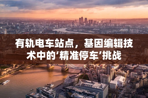 有轨电车站点，基因编辑技术中的‘精准停车’挑战