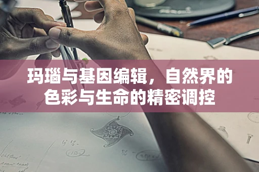玛瑙与基因编辑，自然界的色彩与生命的精密调控