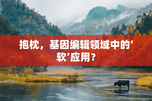抱枕，基因编辑领域中的‘软’应用？