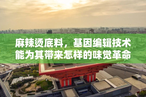 麻辣烫底料，基因编辑技术能为其带来怎样的味觉革命？