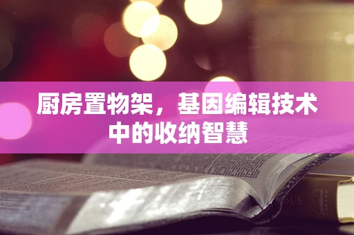 厨房置物架，基因编辑技术中的收纳智慧