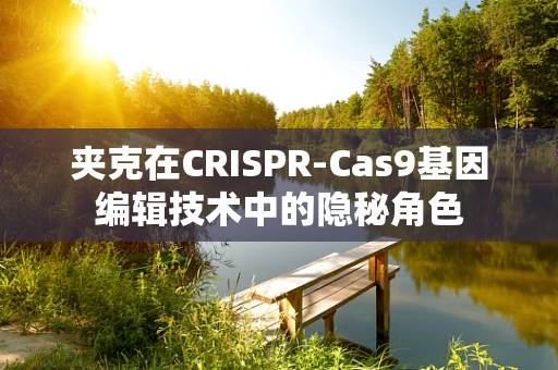 夹克在CRISPR-Cas9基因编辑技术中的隐秘角色