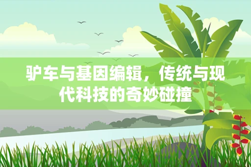 驴车与基因编辑，传统与现代科技的奇妙碰撞