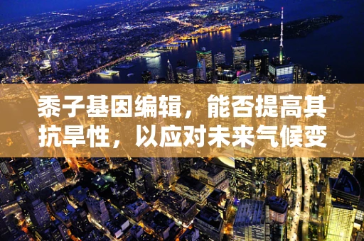 黍子基因编辑，能否提高其抗旱性，以应对未来气候变化？