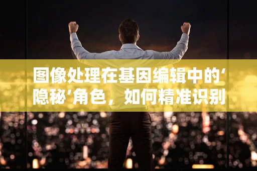 图像处理在基因编辑中的‘隐秘’角色，如何精准识别并分析胚胎细胞？