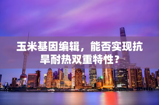 玉米基因编辑，能否实现抗旱耐热双重特性？