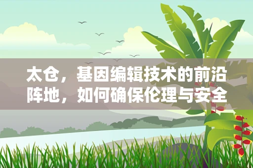 太仓，基因编辑技术的前沿阵地，如何确保伦理与安全的平衡？