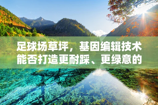 足球场草坪，基因编辑技术能否打造更耐踩、更绿意的球场？
