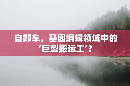 自卸车，基因编辑领域中的‘巨型搬运工’？