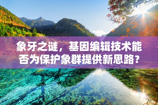 象牙之谜，基因编辑技术能否为保护象群提供新思路？