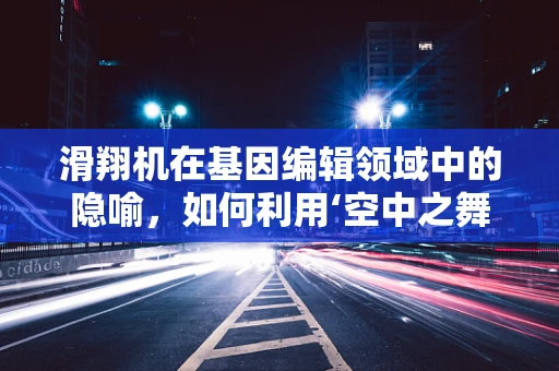 滑翔机在基因编辑领域中的隐喻，如何利用‘空中之舞’的灵感优化CRISPR技术？