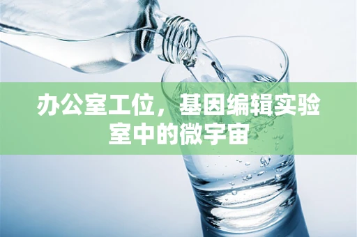 办公室工位，基因编辑实验室中的微宇宙