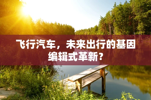 飞行汽车，未来出行的基因编辑式革新？