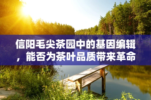 信阳毛尖茶园中的基因编辑，能否为茶叶品质带来革命性提升？