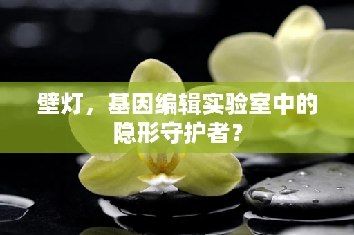 壁灯，基因编辑实验室中的隐形守护者？