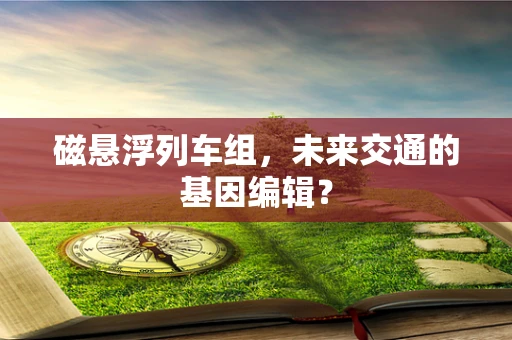 磁悬浮列车组，未来交通的基因编辑？