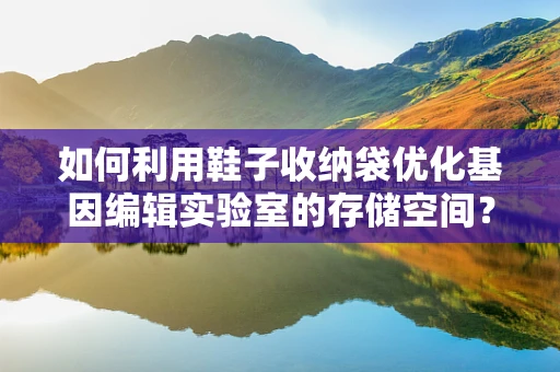 如何利用鞋子收纳袋优化基因编辑实验室的存储空间？