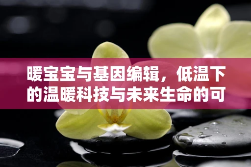 暖宝宝与基因编辑，低温下的温暖科技与未来生命的可能？