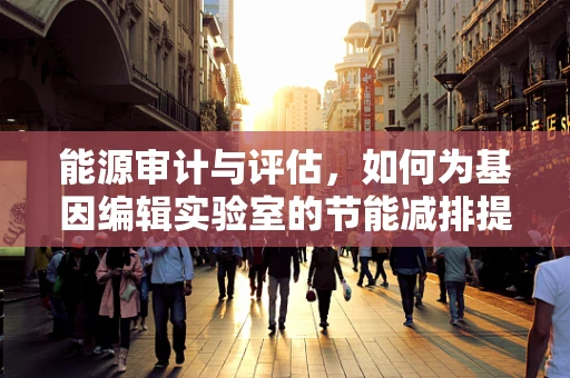 能源审计与评估，如何为基因编辑实验室的节能减排提供精准方案？