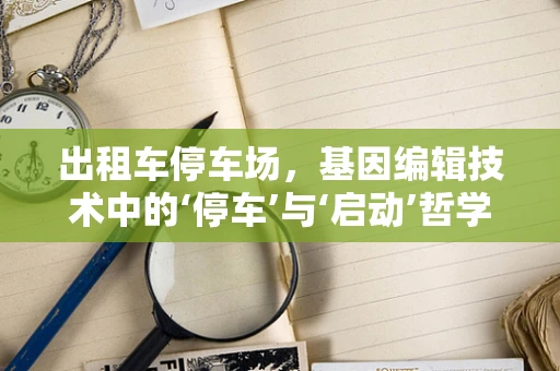 出租车停车场，基因编辑技术中的‘停车’与‘启动’哲学