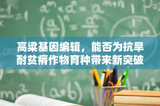 高粱基因编辑，能否为抗旱耐贫瘠作物育种带来新突破？