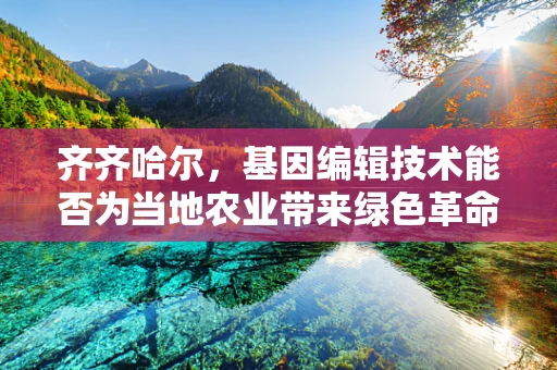 齐齐哈尔，基因编辑技术能否为当地农业带来绿色革命？