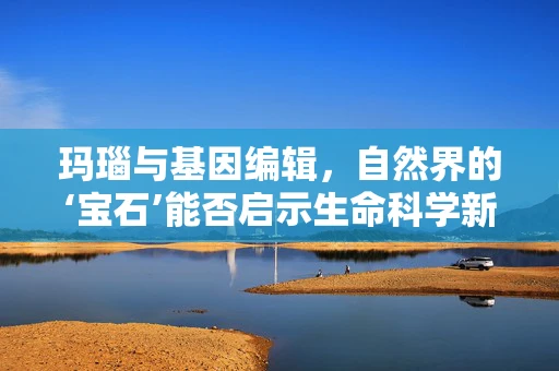 玛瑙与基因编辑，自然界的‘宝石’能否启示生命科学新方向？