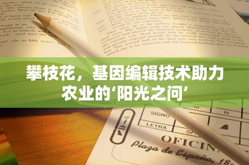 攀枝花，基因编辑技术助力农业的‘阳光之问’