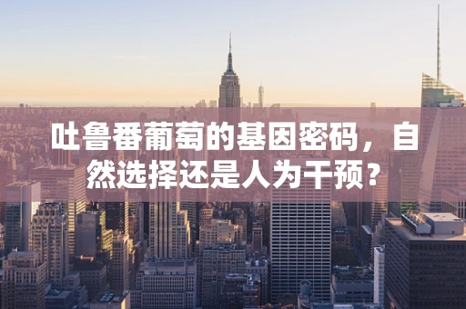 吐鲁番葡萄的基因密码，自然选择还是人为干预？
