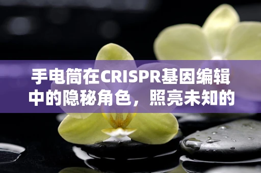 手电筒在CRISPR基因编辑中的隐秘角色，照亮未知的DNA序列？