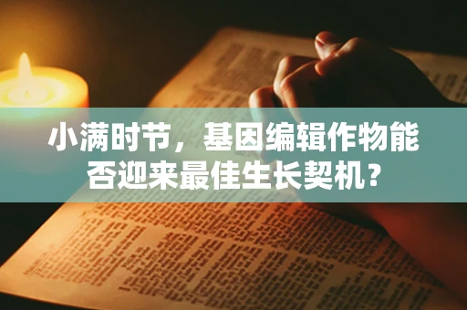 小满时节，基因编辑作物能否迎来最佳生长契机？