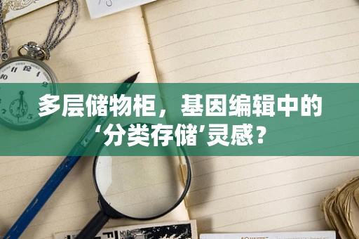多层储物柜，基因编辑中的‘分类存储’灵感？