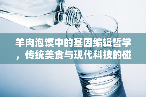 羊肉泡馍中的基因编辑哲学，传统美食与现代科技的碰撞