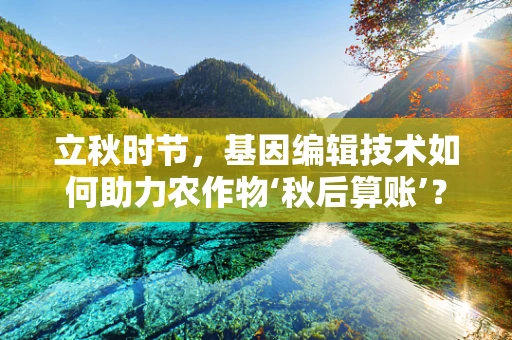 立秋时节，基因编辑技术如何助力农作物‘秋后算账’？