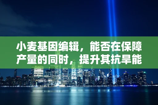 小麦基因编辑，能否在保障产量的同时，提升其抗旱能力？