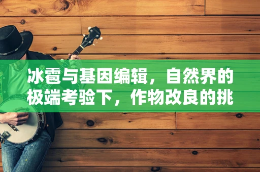 冰雹与基因编辑，自然界的极端考验下，作物改良的挑战何在？
