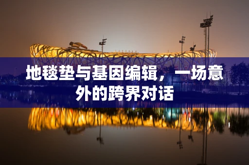 地毯垫与基因编辑，一场意外的跨界对话