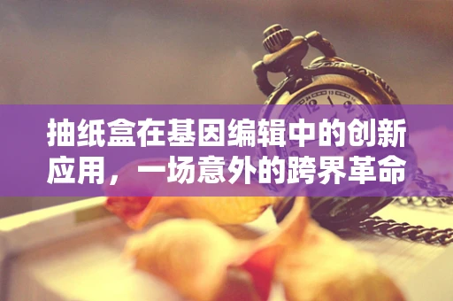 抽纸盒在基因编辑中的创新应用，一场意外的跨界革命？
