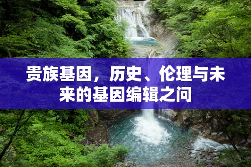 贵族基因，历史、伦理与未来的基因编辑之问