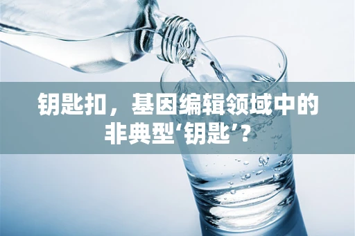 钥匙扣，基因编辑领域中的非典型‘钥匙’？