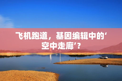 飞机跑道，基因编辑中的‘空中走廊’？