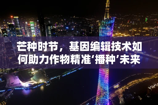 芒种时节，基因编辑技术如何助力作物精准‘播种’未来？